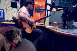 Watch Chris Kasper and a doggo appear on the WXPN Folk Show